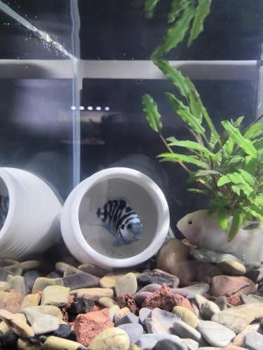 Ceramic Aquarium Decoration Jar – White Betta Fish Tank Ornament, Natural Hiding Cave with 7.8cm / 3.07inch Dia. Round Opening – Aquascape Décor for Fish, Shrimp, Reptiles use