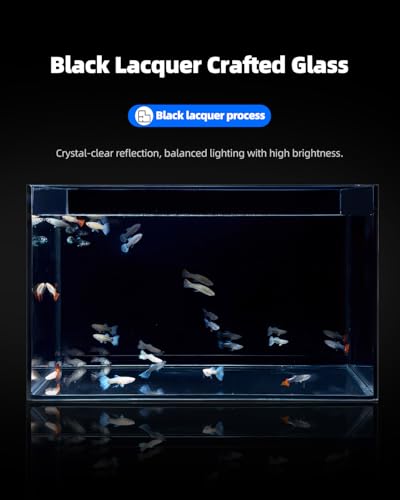 2.5 Gallon Clear Glass Fish Tank, Small Fish Tank Aquarium for Betta, Goldfish, Snail,Shrimp and Aquatic Planting - color: Black, size: 2.5 Gallon