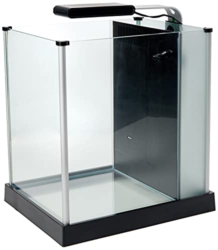 Fluval SPEC Freshwater Aquarium Kit, Aquarium with LED Lighting and 3-Stage Filtration, 2.6 Gallon, Black - color: Black, size: 2.6 Gal.