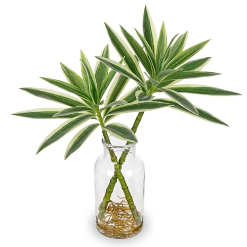 Artificial Plants Stems in Glass Vase with Faux Water,Fake Silk Plant Dracaena Leaves for Centerpiece Table Decorations Farmhouse Wedding Home Greenery Decor (Green and White) - color: White and Green#2