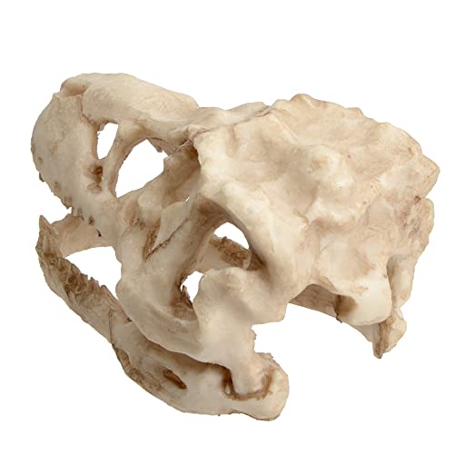 Saim Dinosaur Skull Model Resin Aquarium Decorative Reptile Decor Home Office Display