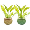Aquarium Plant Pot Holders, Aquatic Plant Holder, Securely Hold Aquatic Plants, Promoting Healthy Root Growth, Fish Tank Aesthetic (Gradient Rainbow) - color: Gradient Rainbow