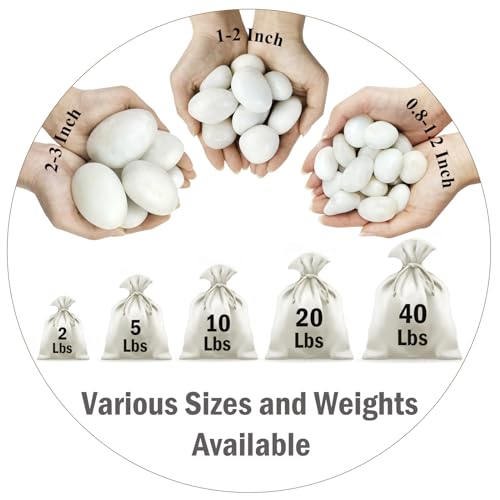 5lbs White Pebbles for Indoor Plants, 0.8-1.2 Inch Smooth White River Rocks for Potted Plants, Decorative Polished Stones for Landscaping Vase Fish Tank and Outdoor Garden Pavers - size: 0.8-1.2 Inch, style: 5 Pounds