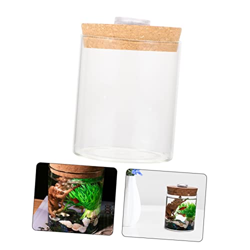 Ciieeo Cylinder High Borosilicate Glass Moss Plant Bottle Creative DIY Microlandscape Terrarium Holder for Indoor Decoration Mini Fish Tank - size: 9.50X6.20X6.20CM