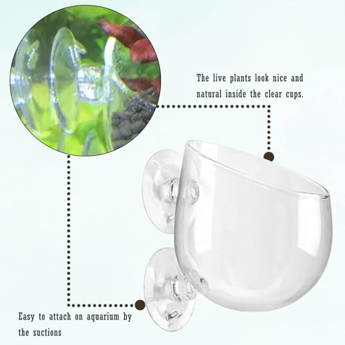 WHJY Clear Glass Aquarium Suction Cups, Round Plant Holder, Fish Tank Plant Pots - Set of 2, Transparent