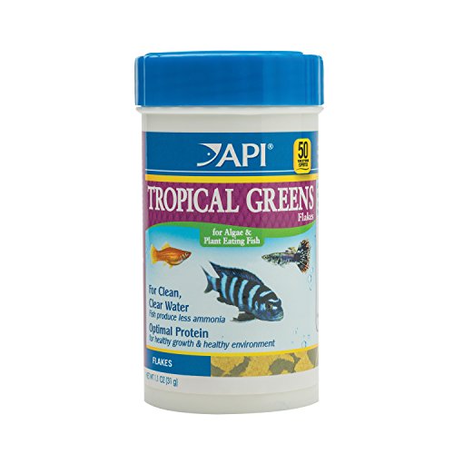 API TROPICAL GREENS FLAKES Tropical Fish Greens Flakes Fish Food 1.1-Ounce Container - size: 1.1 Ounce (Pack of 1), style: Tropical Greens