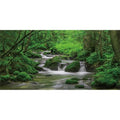 AWERT 36x20 inches Forest Terrarium Background Stream Green Huge Tree Reptile Habitat Background Stone Stream Tree Background Tropical Rainforest Aquarium Background - size: 36x20in/90x50cm