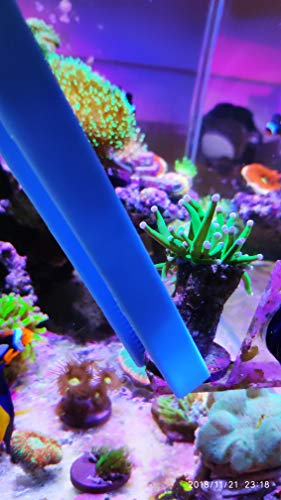Aquarium Choice Coral Feeder Syringe - 11.8 Inch Reef Tweezers, Never Rusts, Fish Excreta Cleaner