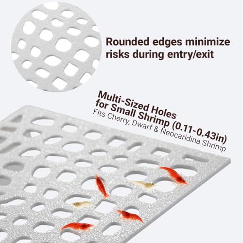 2-Pack Aquarium Shrimp Shelter Hide, 5.5x4x1.3 inches, Multi-Sized Holes for Cherry and Dwarf Shrimp - color: White