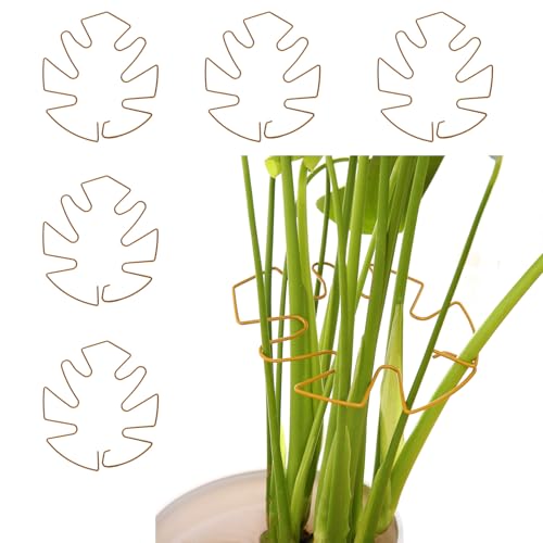 Spiritlele 5 Pcs Yellow Plant Stem Support Holder Set Monstera Plant Support Clamp Growth Accessories for Indoor Plants Big - color: Golden, size: 7.1x6.3inch