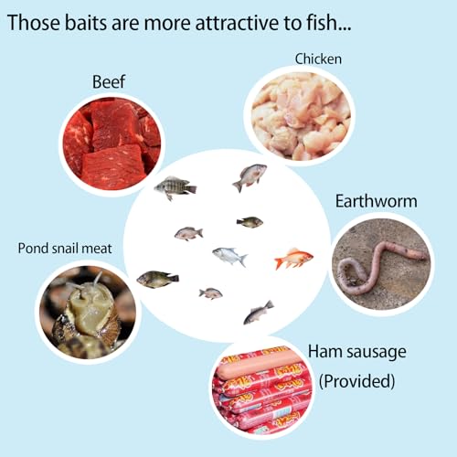 Portable and Hard Plastic Aquarium Minnow&Small Fish Trap for Aquarium Children Fishing Outdoors,Durable Container Bait Trap Suitable for Fishing,Crab,Shrimp,Turtle - size: Small