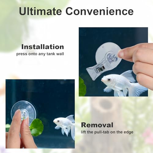6Pcs Suction Cup Clips Aquarium Suction Cups, Window Glass Suction Cup Clear Plastic Fish Feeding Tool Underwater Fish Veggie Feeder Fish Tank Accessories