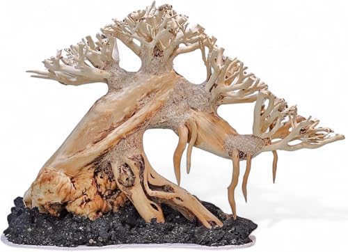 Azil Aquascape Bonsai Driftwood Tree 10” – Premium Natural Aquarium Decor for Fish Tanks, Freshwater Aquariums, Hardscape & Planted Tanks - size: bonsai 10"