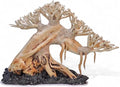 Azil Aquascape Bonsai Driftwood Tree 10” – Premium Natural Aquarium Decor for Fish Tanks, Freshwater Aquariums, Hardscape & Planted Tanks - size: bonsai 10"