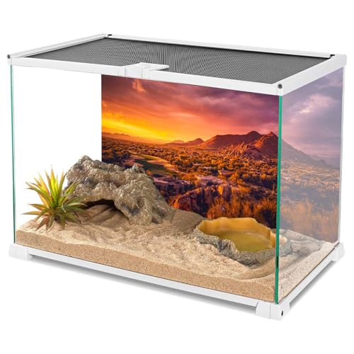 AWERT 30x18 inches Sun and Desert Terrarium Background Mountain Oasis Gobi Reptile Habitat Background Vinyl - size: 30x18in/75x45cm