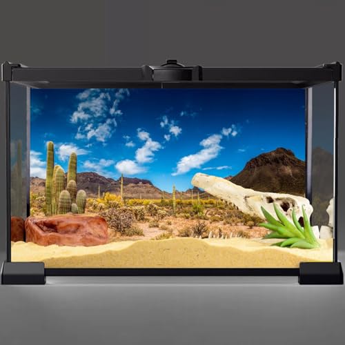 AWERT 60x24 inches Reptile Habitat Background Blue Sky Oasis Cactus Desert Terrarium Background Vinyl - size: 60x24in/150x60cm
