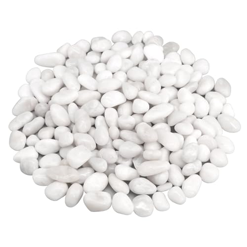 Fish Tank Rocks,Landscaping Pebbles,Decorative Ornamental Pebbles Garden,Landscaping Stones Gravel Filler for Home Decoration Flower Bed Fish Tank Plants Vases Succulents (5 Pounds, White) - color: White, size: 5 Pounds