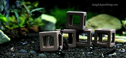 Aquarium Fish Shrimp Tube Cubes Star Clay Shelters Hiding and BREEDING CAVE (Small Shrimp Cubes (Pack of 5))