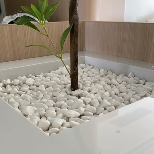 10lbs White Rocks for Landscaping,1-2 Inch Decorative Pebbles for Plants,River Rocks for Backyard,Flower Beds, Indoor Fountains, Paths, Aquarium Vase,Outdoor Garden - color: Natural White, size: 1-2 Inch(10LB)
