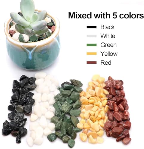 TOYPOPOR 6LB Succulent and Cactus Gravel Pebbles, 1/5 Inch Natural Decorative Polished Stones, River Rocks for Plants, Vases, Aquariums, Terrarium and Outdoor Gardening, Mixed Color - color: Five Colors Mixed, size: 6 lb