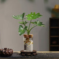 Borosilicate Glass Hydroponic Planter With Natural Wooden Lid Clear Cylinder Vase Transparent Root Viewing Suitable For Desktop Display Water Growing Plants Small Aquarium Use Or Minimalist Home Decor
