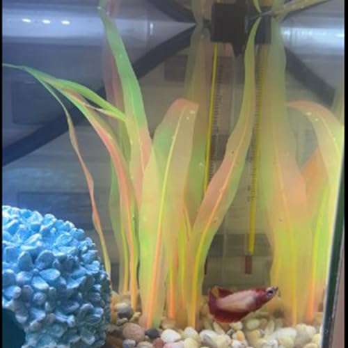 2Pcs Soft Silicone Aquarium Plants Glowing Kelp Fish Tank Plants Decor Artificial Aquarium Plant Decoration Simulation Artificial Water Grass for Fish Tank,Orange,7inch - color: Orange, size: 7inch