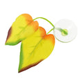 KESYOO Decorative Betta Fish Leaf Hammock Multi-Functional Pad for Comfortable Resting Spawning Aquarium Easy to Install Cup Leaf Ornament for Betta Tank Adornments