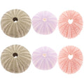 POPETPOP 6Pcs Natural Sea Urchin Shell Air Plant Holders 2.16In Miniature Flower Pots Aquarium Landscape Tabletop Decor Versatile Indoor Outdoor Planters
