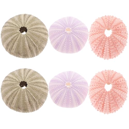 POPETPOP 6Pcs Natural Sea Urchin Shell Air Plant Holders 2.16In Miniature Flower Pots Aquarium Landscape Tabletop Decor Versatile Indoor Outdoor Planters