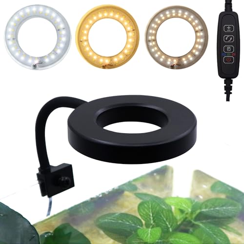 Upgraded Aquarium Light with Timer Clip On Fish Tank LED Light Small USB Light Dimmer Multi-Color White+Warm Yellow+Yellow 1 to 5 Gal (Adapter NOT Included) - size: Black-Dimmer+Timer