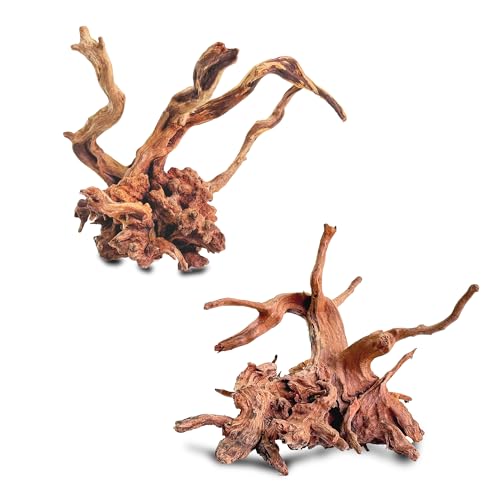 Natural Wood Driftwood for Aquarium Fish Tank Decor,Assorted Driftwood Trunk Branch for Reptile Tank Decor (LLM-Driftwood (10 to 12 Inch)-Pack of 2) - color: LLM-Driftwood (10 to 12 Inch)-Pack of 2