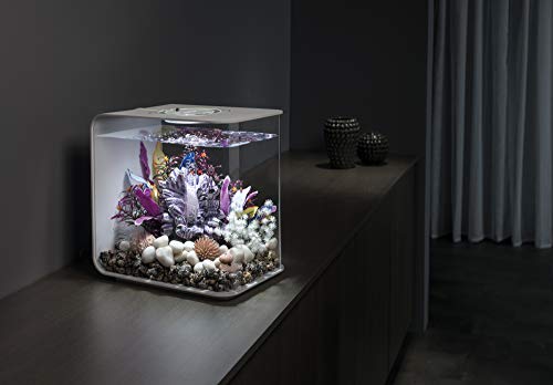 biOrb Marble Pebble Set , Solid and High-Quality Aquarium Decorations, White