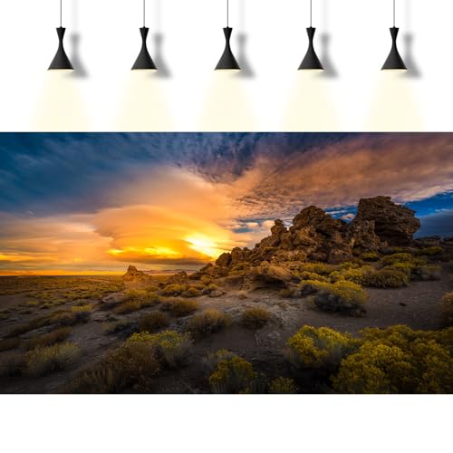 Reptile Terrarium Background Sunset Rock Formations Terrarium Background Reptile Tank Background Desert Thorns Rocky Bush Reptile Habitat Background Bearded Dragon Tank Aquarium Background 24x12in - color: Oasis Green, size: 24(W)x12(H)inches/ 60(W)*30cm(
