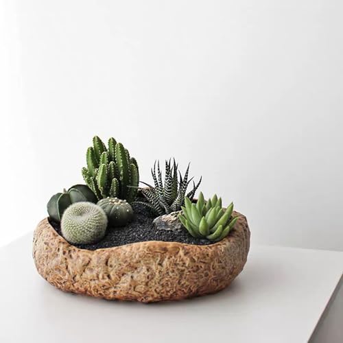 1LB Natural Gravel Pebbles, Cactus and Succulent Plants Pebbles, Small Decorative Polished Stones, Mixed Color River Rocks for Potted Plants, Vases, Aquariums, Terrarium and Outdoor Gardening - color: 1LB Mixed Color