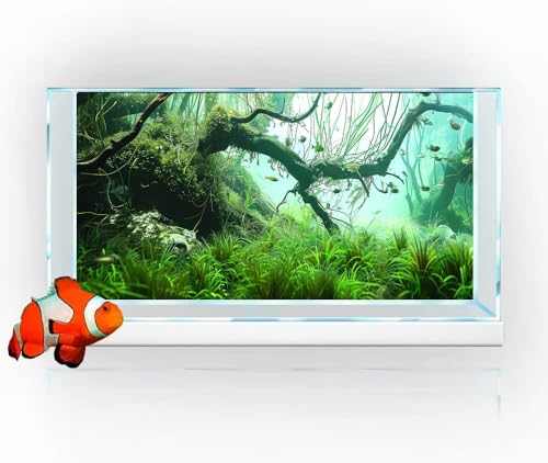 48X24IN Natural Submerged Forest Background Aquarium Background, 3D Image of Underwater Fish Tank Decoration, Greenery with 10 EVA Double-Sided Tape ﻿ - size: 48X24in/120X60cm