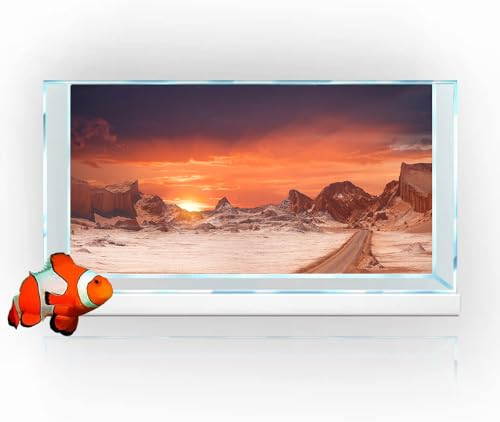 30X18IN Sun and Desert Moon Themed Reptile Habitat on Orange Durable Decorative Background, Terrarium Background with 10EVA Double-Sided Tape - color: Moon, size: 30X18in/75X45cm