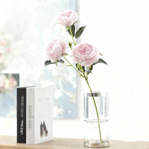 Creative Floating Floral Arrangement Holder, 2025 Innovative Floating Flower Display Stand, Flowers Arrangements Supplies, 10pcs Clear Acrylic Floating Flower Bowl Stem Holder, for Fish Tanks Table Decor (small) - size: small