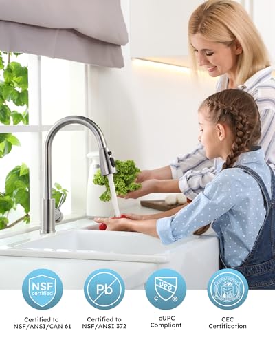 WOWOW Kitchen Faucet with Sprayer, Kitchen Sink Faucet, SUS 304 Stainless Steel, High Arc Single Handle Brushed Nickel Kitchen Faucets with Pull Down Sprayer, Pull Out Kitchen Faucet with Deck Plate - color: A: Brushed Nickel, style: Kitchen Faucet
