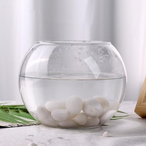 DomeStar 2.7lb White Rocks for Landscaping, White Garden Rocks Polished Pebbles Garden Stones, Pebbles for Indoor, Walkways, Yard, Plants, Aquarium Fish Tank,Vase Filler Decor