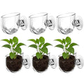6 Pcs Aquarium Plant Holder, Suction Cup Fish Tank Plant, Clear Shower Aquatic Plant Pots