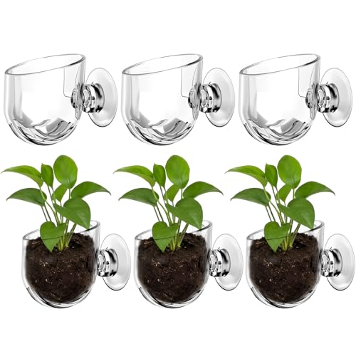 6 Pcs Aquarium Plant Holder, Suction Cup Fish Tank Plant, Clear Shower Aquatic Plant Pots