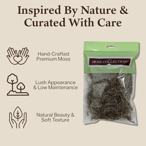 Preserved Spanish Moss - Premium Decorative Moss for Crafts, Home Décor, Art, Design & DIY Projects - Real Moss - Non-Toxic, USA-Made (Natural, Small, 2-Pack) - color: Natural, size: 2-Pack, Small