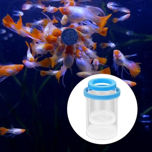 Fish Breeding Box Aquarium Floating Breeder Incubator Holder Isolation Container with Hole Lid Easy Setup Clear pp Material Suitable for Guppy Betta, Blue - color: blue