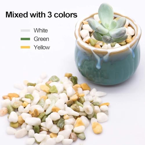 TOYPOPOR Mixed Color Decorative Rocks Stones Pebbles for Plants Garden Gravel White Rocks with Yellow, Green Pastel Accents Vase Fillers Natural Stone Top Dressing for Potted Plants Succulents 6 lbs - color: Three Colors Rocks, size: 6 lb