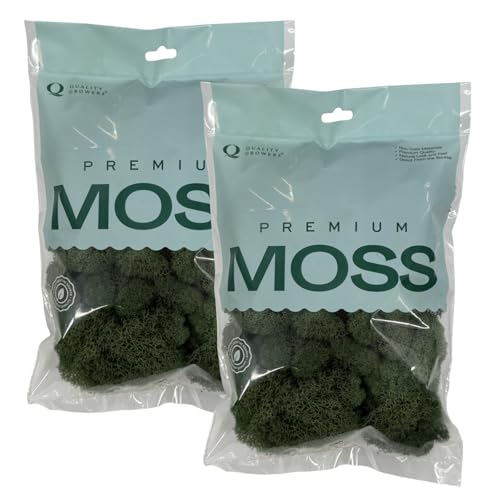 Quality Growers - Preserved Reindeer Moss - Moss for Crafts, Home Decor, Art, Design & DIY Projects - Non-Toxic - USA Made (Basil, Small, 2-Pack) - color: Basil, size: Small (2-Pack)