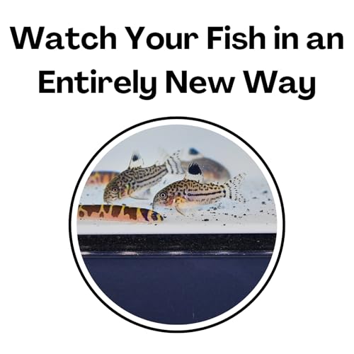 Aquarium Underground Tunnel Cave Natural Curve | Viewing Fish & Shrimp Under Gravel Tunnel | Fish Tank Decor Decoration Hideout Perfect for Corydora Catfish, Kuhli Loach, Clown Loach, Pleco (White) - color: White