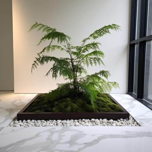 300 LBS River Rocks, StoneCreek, Decorative Garden Stones for Plant Landscaping, Polished Gravel Filler Pebbles for Home Decoration, Vases, Succulents, Flower Beds and Fish Tanks (White, Medium) - color: White, size: 300 LBS