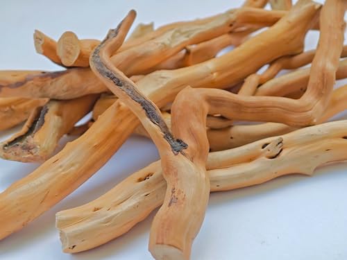 Azil Natural Driftwood Root Mix (5 pcs) – 100% Natural Driftwood for Aquarium, Reptiles, Terrariums, Vivariums, Aquascaping & Planted Tanks (Size: 7″–10″ / 17.8–25.4 cm) - size: root mix 7'' - 10''