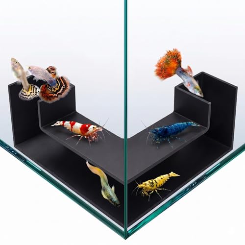 Aquarium Underground Tunnel 5", Dual-Entrance Fish Tank Cave & Aquarium Cave with Clear Viewing Window, ABS Shrimp Hideout, Substrate Buried Decor for Betta, Loaches, Corydoras, Black