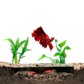 CTWPets Shrimp Breeding Protector | Shrimp Breeding Cave Aquarium Tunnel (Forest Green) - color: Forest Green